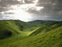 pic for  Rolling Hills New Zealand